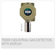 TS593 Industrial Gas Detector w/ display